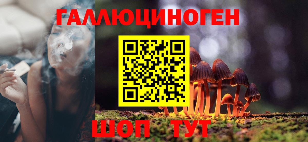 Галлюциногенные грибы GOLDEN TEACHER  Вход с VPN  где можно купить наркотик  Верхняя Пышма 