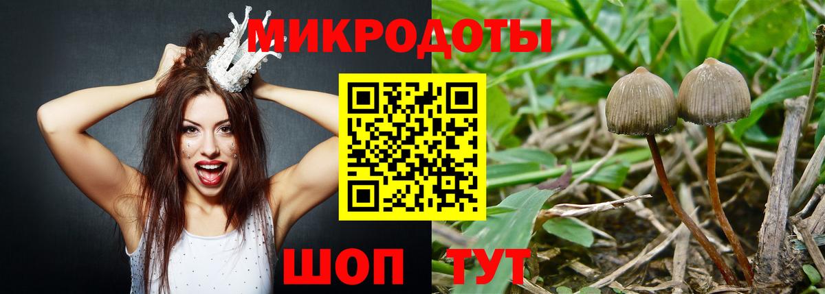 Псилоцибиновые грибы Cubensis Верхняя Пышма