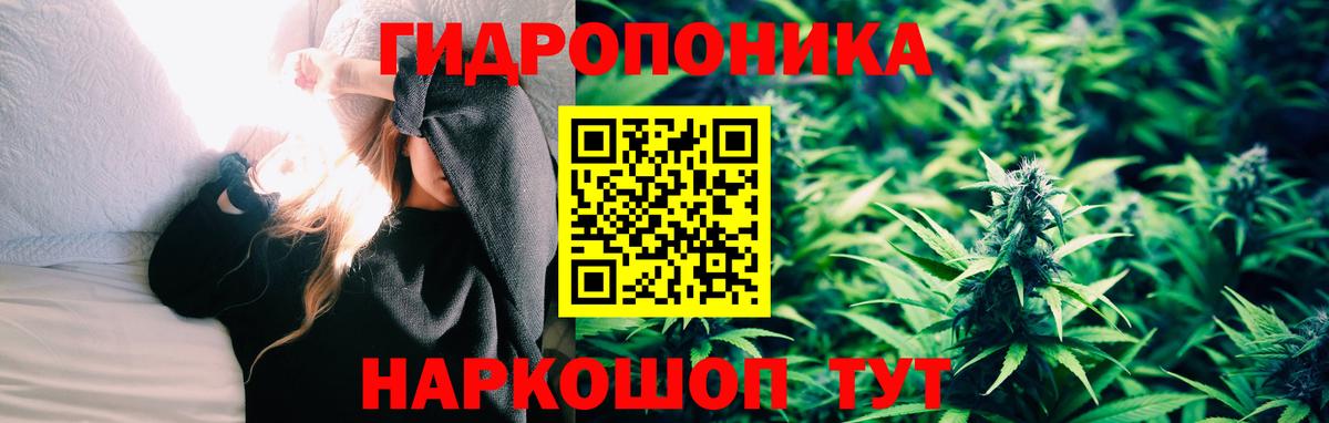 Каннабис Amnesia Верхняя Пышма